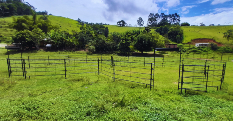 Pista Ranch Sorting